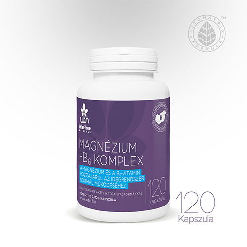 WTN Magnézium + B6 komplex – 120db